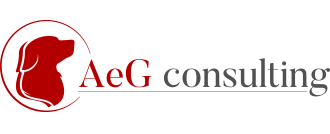 AeG Consulting